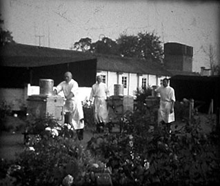 Trolïau bwyd ar eu ffordd i’r wardiau ym Mhenley