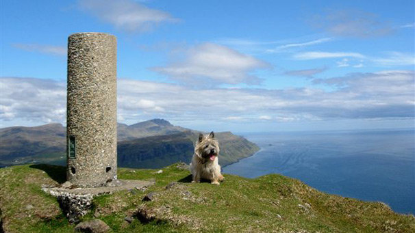 Hamish the cairn terrier resting by cairn on Ben Tianavaig, the Isle of Skye (courtesy of Les Fitton)