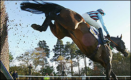 Best Mate clearing a jump