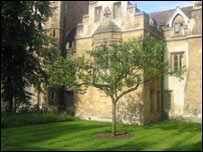 牛顿就读时的校舍与家乡苹果树后代