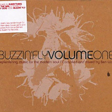 Review of Buzzin' Fly, Volume 1 (Mixed by Ben Watt) 