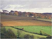 Cotswolds c/o Natural England anfd Paul Glendells