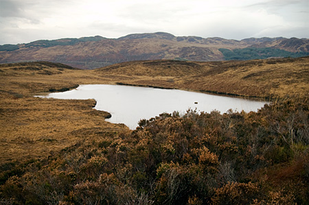 Bull Loch