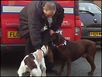Freckle, Dave and Fudge