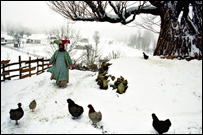 نمایشگاه عکس ایران