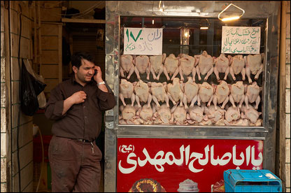 مرغ فروش در مولوی