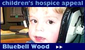Bluebell Wood: raising money for a children's hospice