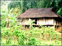 Nhà sàn Tây Bắc