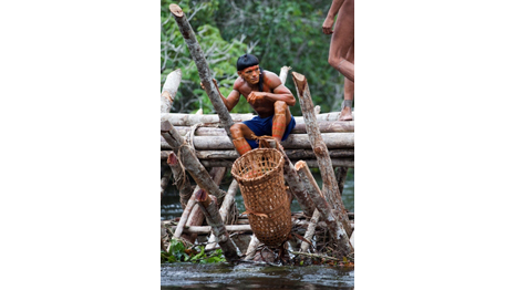 Foto de Daniel Beltrá, cortesia, The Prince’s Rainforests Project and Sony