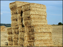 دڅارويوخواړه