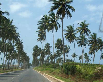 The open coastal raod