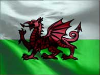 The Welsh Flag