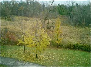 عکس از عنايت بهزادی