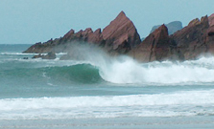 Framed, empty and peeling. Some Pembokeshire perfection, courtesy of our man in the Land of Rarebit. Pic: Martin Aaron 06