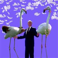 Photo credit: Chris Nash