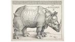 Durer's 'Rhinoceros'