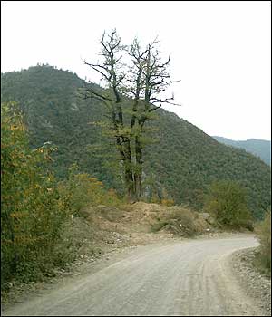 interactivity user photos