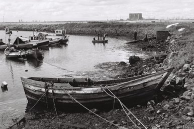 Post-apocolyptic Fishing