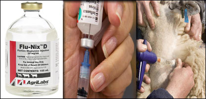 دڅارويو زکام