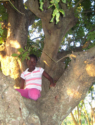 Rosita Chibure sitting up the tree where her mother gave birth to her 10 years ago
