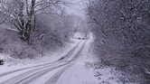 Snowy lane