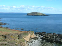 Looe Island by Tuppy Hunter