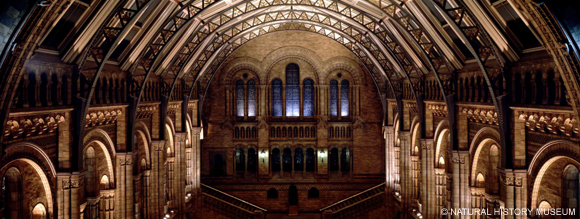 The central hall of the Natural History Museum at night