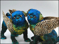 Foto: ⓒ Emily Valentine