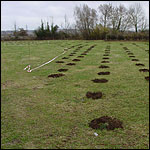 Holes marking the place where the trees will be planted - the clear area to the left will be the glade.