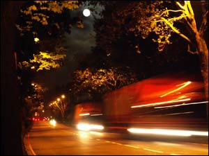 عکس از شاهین زبرجد