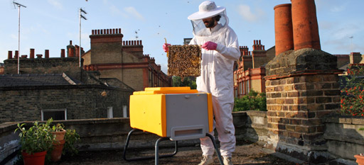 The Beehaus in action