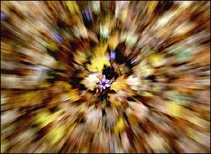 عکس از بامشاد هوشيانی