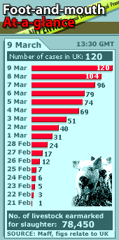 Počty nakažených a poražených zvířat