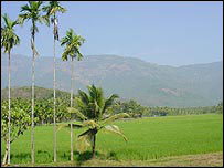 کیرالا کا علاقہ وائناڈ