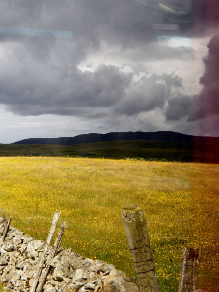 Looking to Vallafield