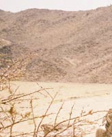 Sand dunes and dry, tough plants are visible in a desert landscape similar to Muhammad's own surroundings