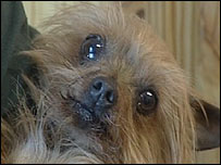 The sanctuary nursed Nut back to health