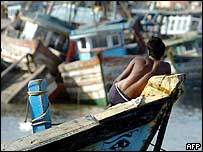 Oblasti postižené tsunami