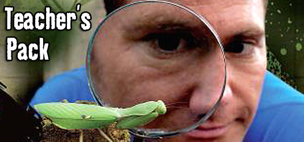 Steve Backshall looking at an insect through a magnifying glass