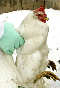 Funcionário da saúde turco