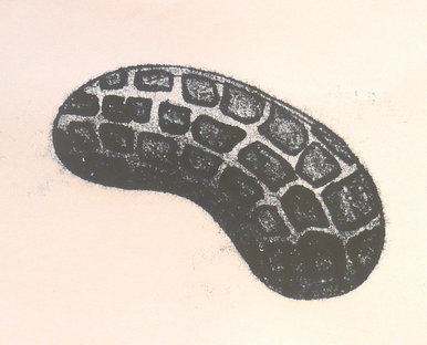 Single Cell Microscope Monoprint