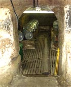 grated over cockfighting pit