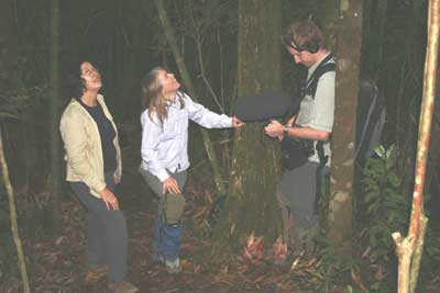 Patricia Gabrielle and Jody with Sifakas above in the tree tops.jpg
