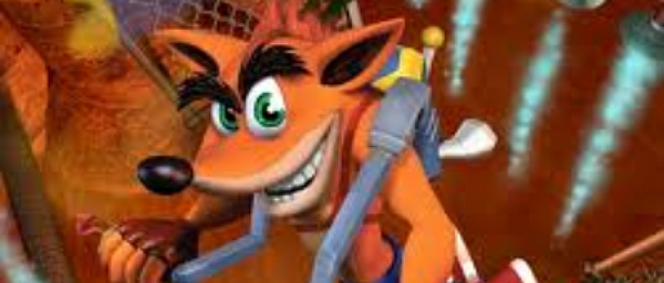 bandicoot.jpg