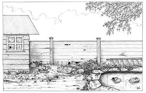 Illustration from This is Our World