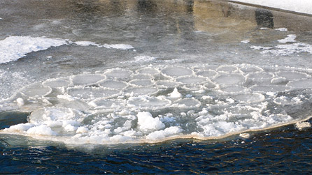 Ice circles that formed just below a weir on the river Amman in Ammanford. Image by Roy Baylis