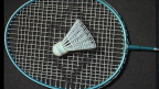 A badminton racket and shuttlecock