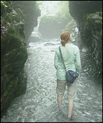 Colletta in a stream