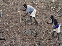 کشاورزان اتیوپیایی