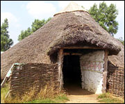 A roundhouse at Flag Fen